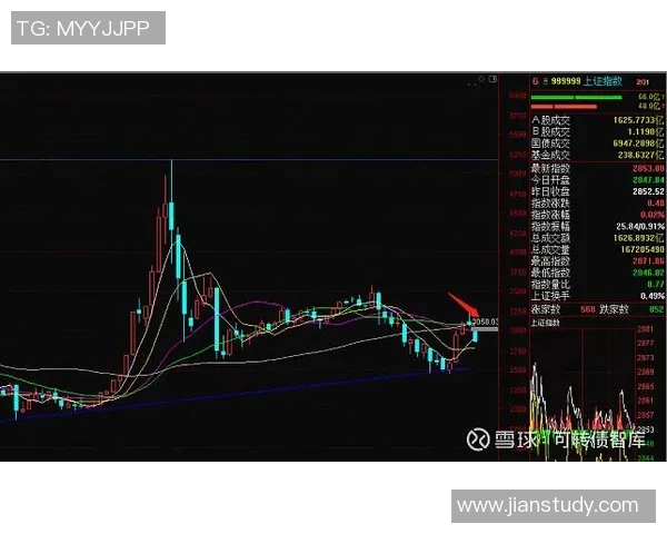 深圳篮球队与武汉篮球队的速度较量赛后分析与复盘
